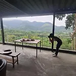 Canto Dos Passaros